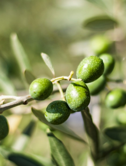 首页-AG视讯厅真人官方网站